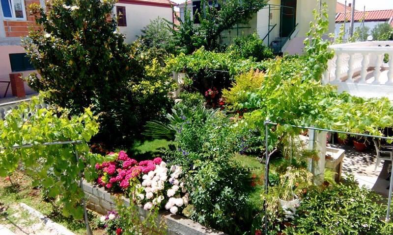 Apartment Matovina Ζαντάρ Εξωτερικό φωτογραφία